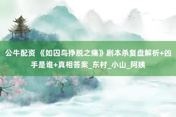 公牛配资 《如囚鸟挣脱之痛》剧本杀复盘解析+凶手是谁+真相答案_东村_小山_阿姨