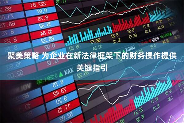 聚美策略 为企业在新法律框架下的财务操作提供关键指引