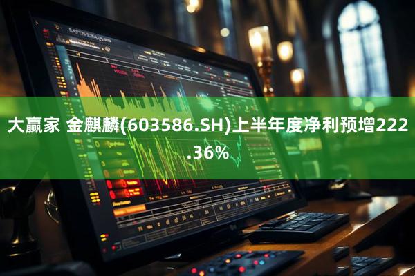 大赢家 金麒麟(603586.SH)上半年度净利预增222.36%
