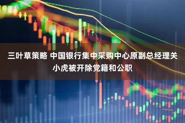 三叶草策略 中国银行集中采购中心原副总经理关小虎被开除党籍和公职